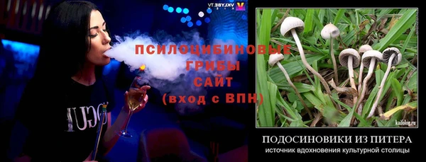 амф Белокуриха