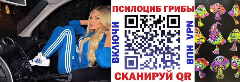 Галлюциногенные грибы Magic Shrooms  магазин    Елабуга 